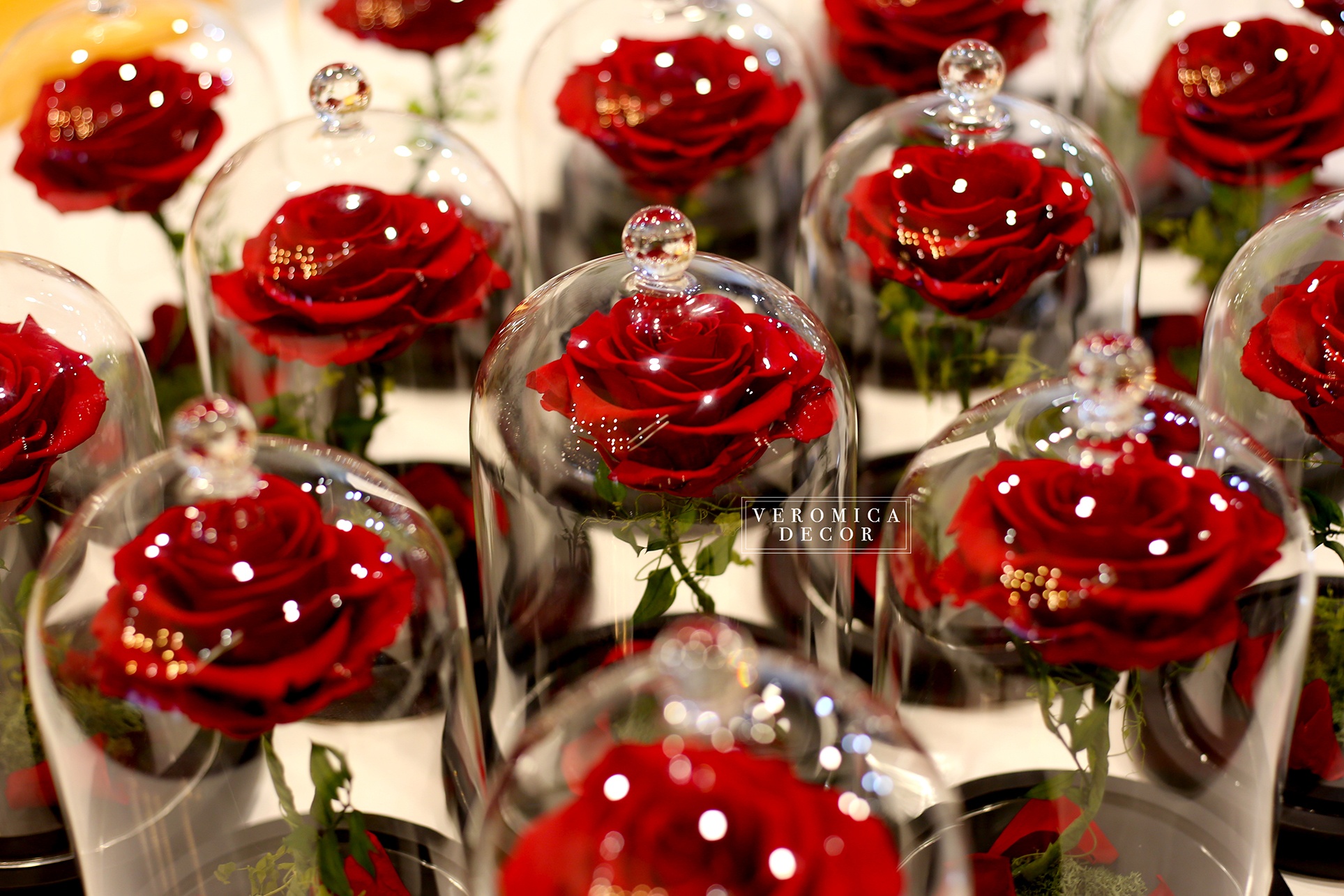 Veromica Decor anh 7