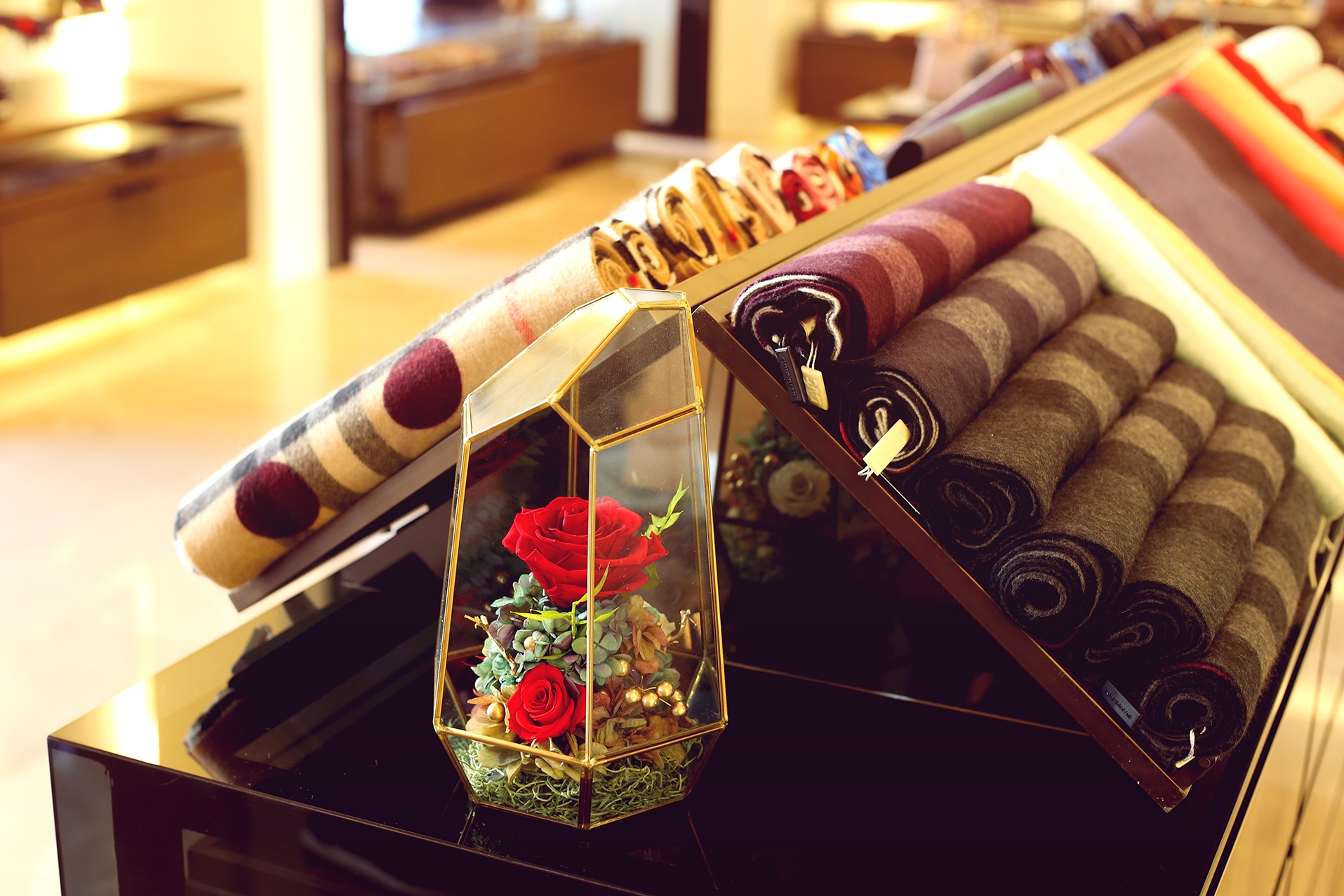 Veromica Decor anh 9