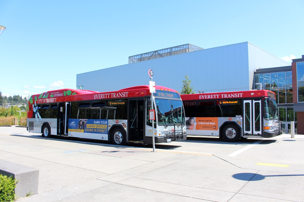 Cong ty Tu van du hoc The He Moi anh 3