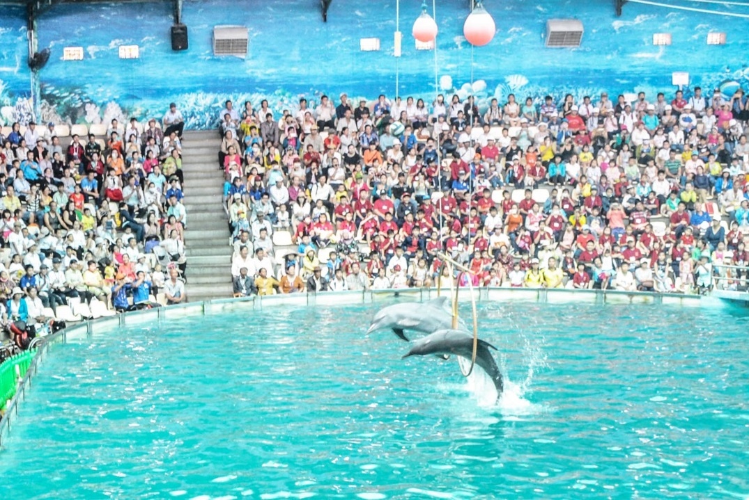 Khu du lich Suoi Tien anh 6