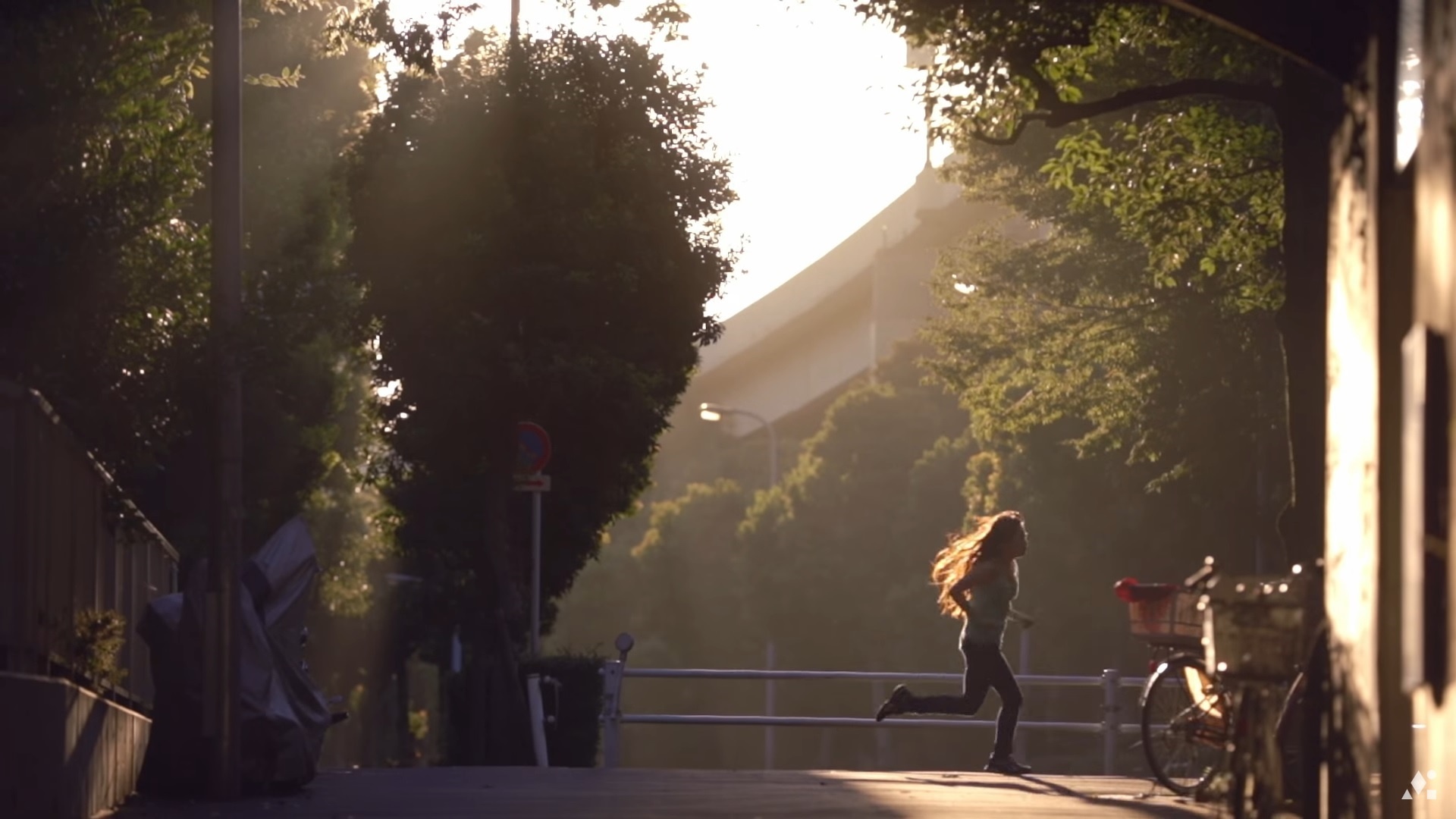 Lipton ảnh 5 Lipton anh 5