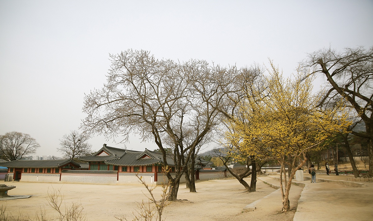 Nhung trai nghiem doc dao chi co o xu so kim chi hinh anh
