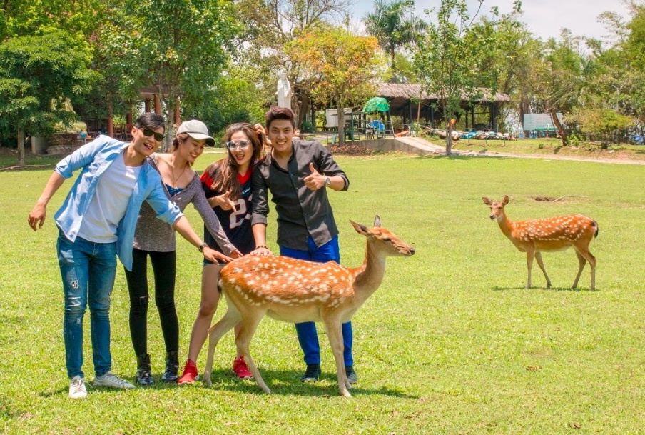 Khu du lich sinh thai Vuon Xoai anh 2