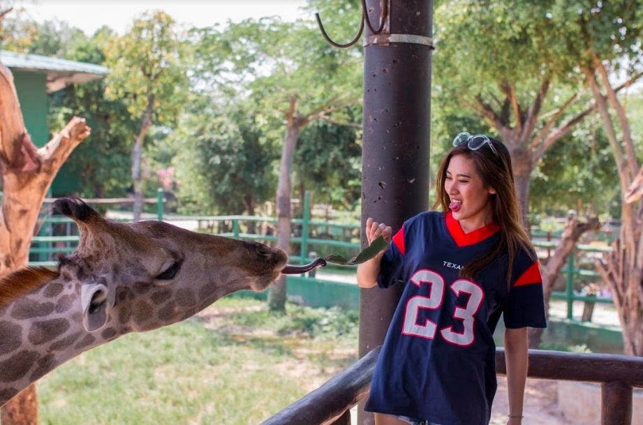 Khu du lich sinh thai Vuon Xoai anh 4