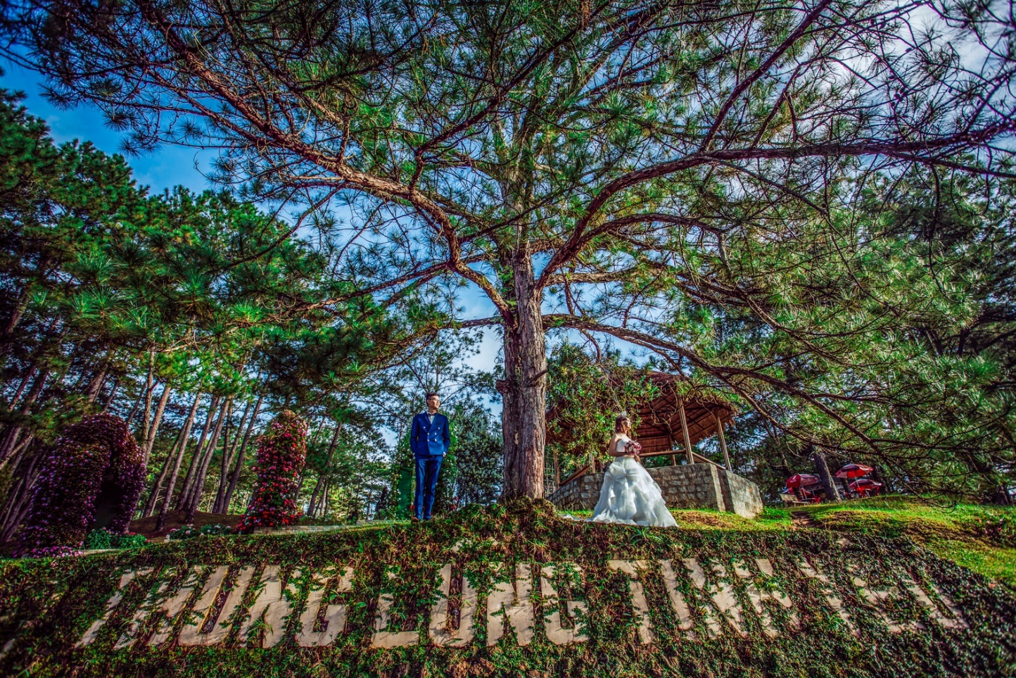 bi quyet chup anh cuoi dep nhu mo tai Da Lat anh 1