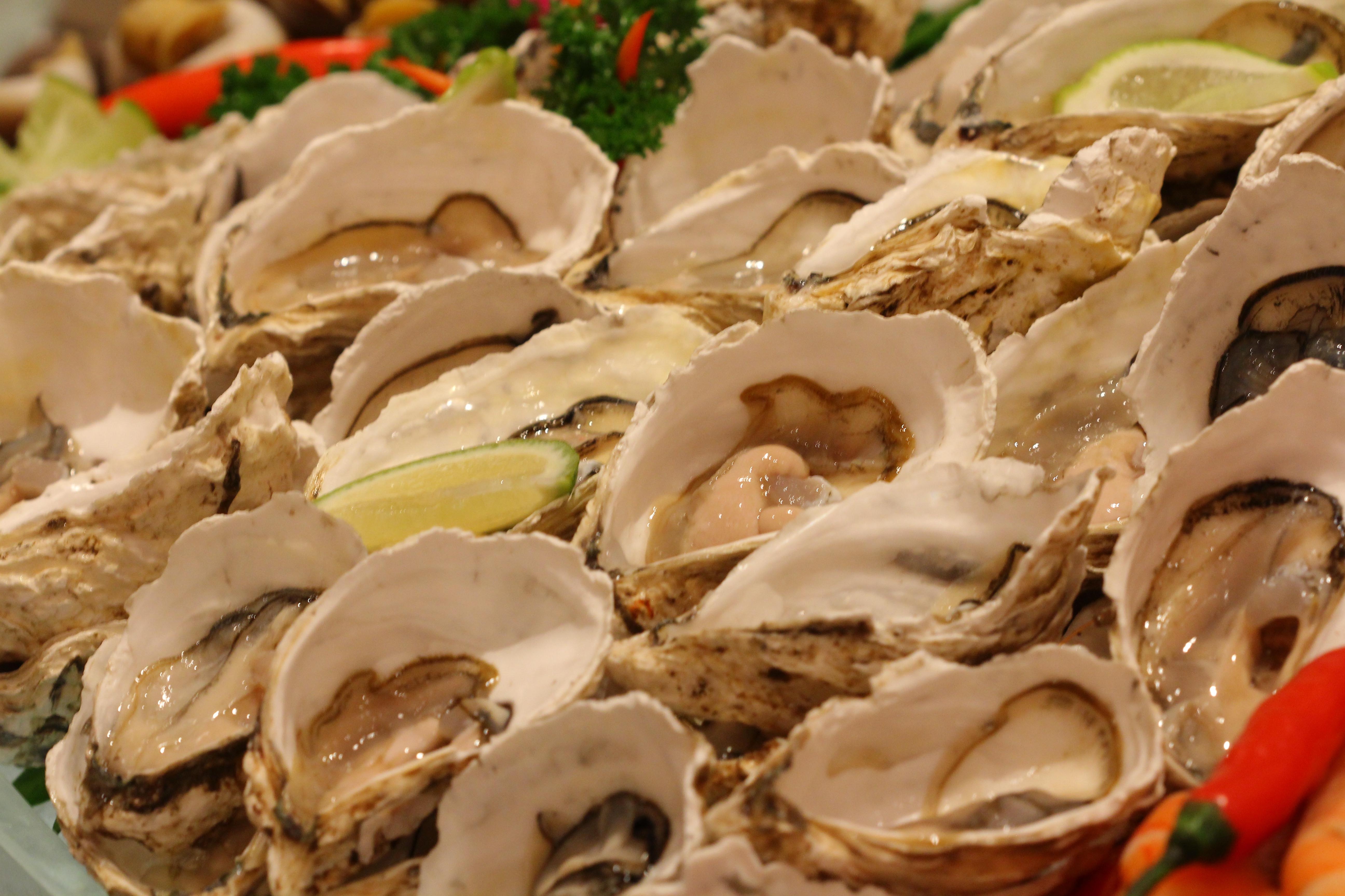 khách sạn Sheraton Sài Gòn ảnh 2 khach san Sheraton Sai Gon anh 2