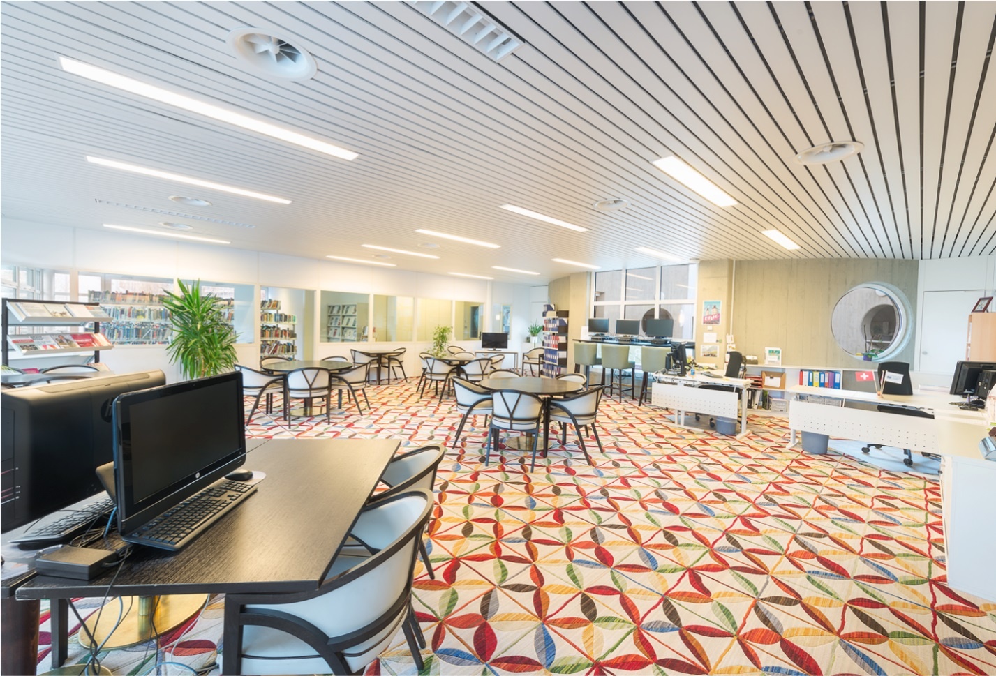 tập đoàn SEG ảnh 2 tap doan SEG anh 2