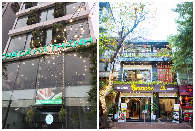 Chả cá Hà Thành ảnh 2 Cha ca Ha Thanh anh 2