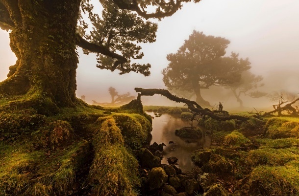 diem tuong dong giua Da Nang va que huong Cristian anh 3
