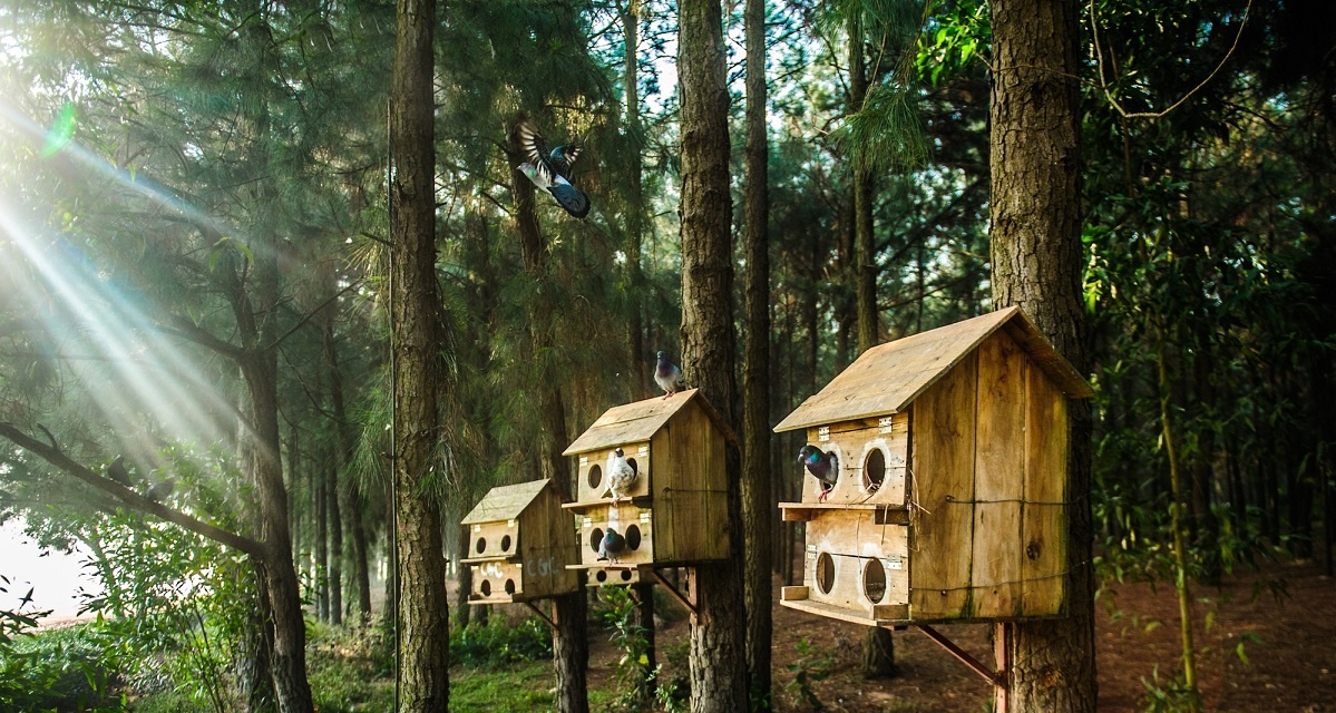 Flamingo All Inclusive anh 1