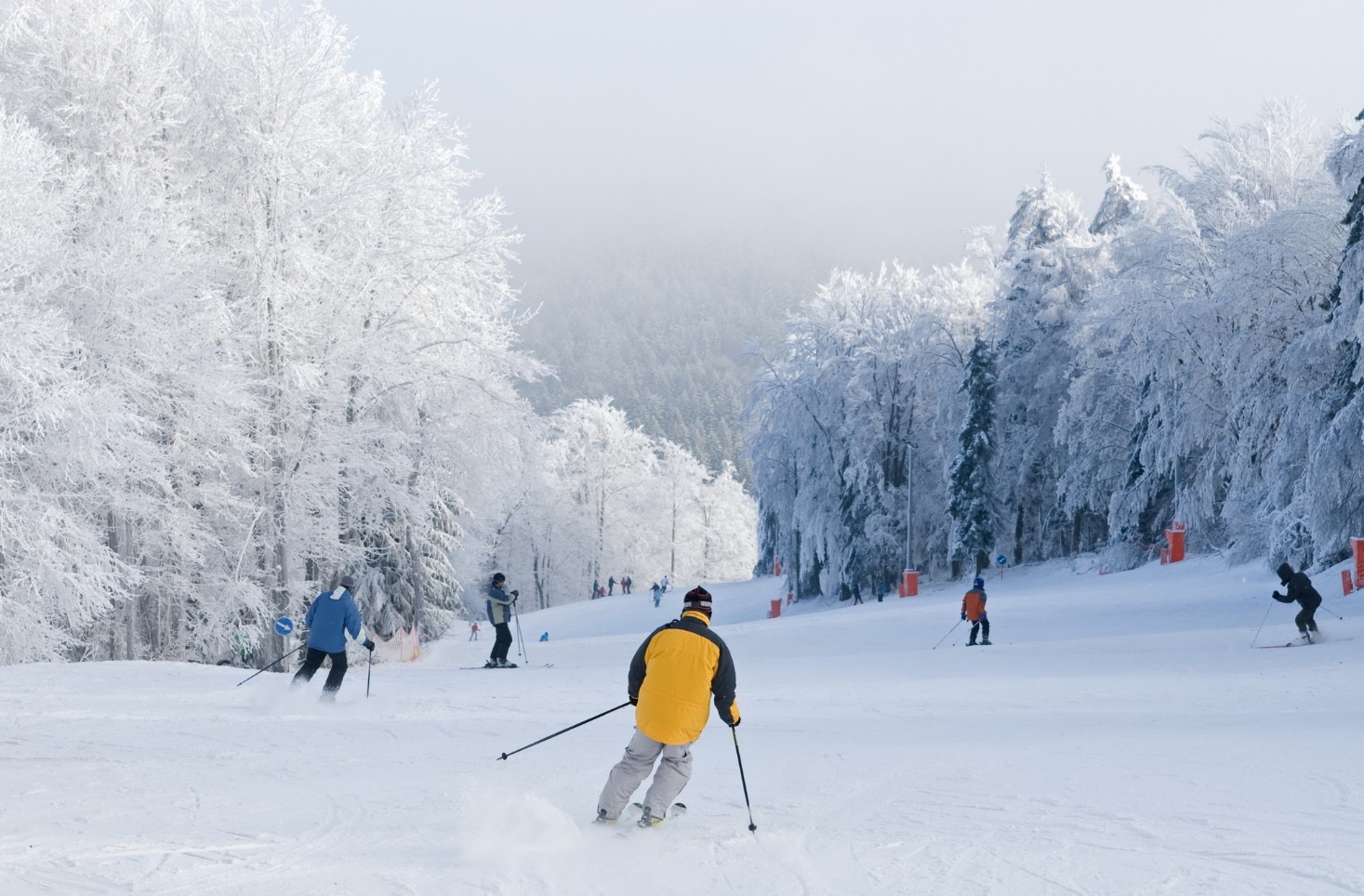 Vietravel ảnh 2 Vietravel anh 2