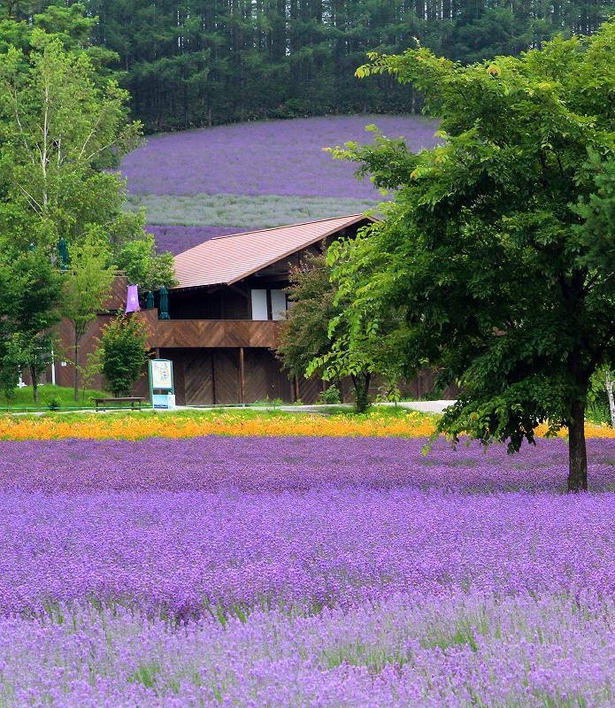 NhatbanAZ ảnh 4 NhatbanAZ anh 4