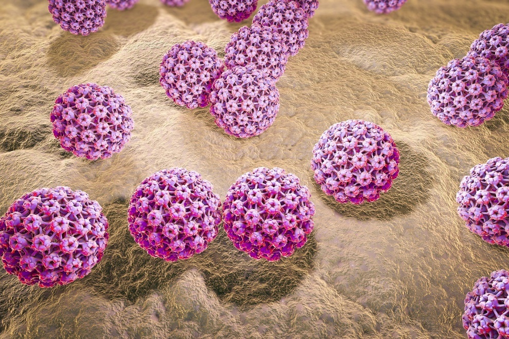 vaccine ngừa HPV ảnh 2 vaccine ngua HPV anh 2