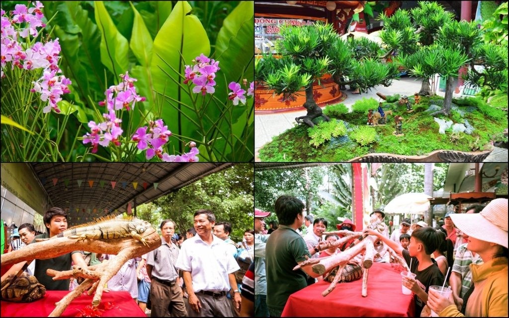 Khu du lich Suoi Tien anh 9