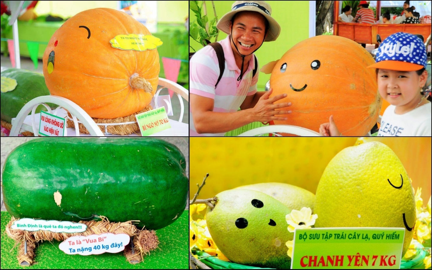 Khu du lich Suoi Tien anh 5