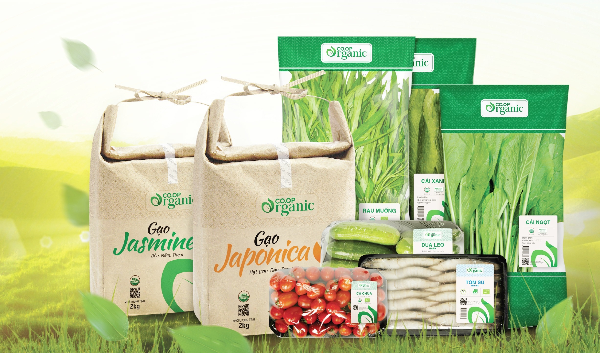 4 nhom nong san Viet duoc Bo Nong nghiep My chung nhan dat chuan USDA hinh anh