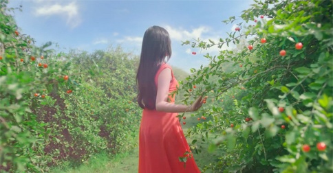 Vinamilk ảnh 1 Vinamilk anh 1