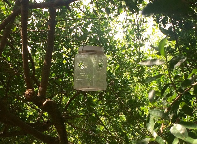 Vinamilk ảnh 2 Vinamilk anh 2