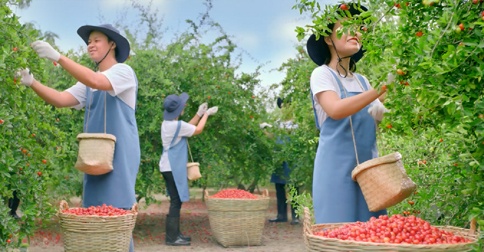 Vinamilk ảnh 4 Vinamilk anh 4
