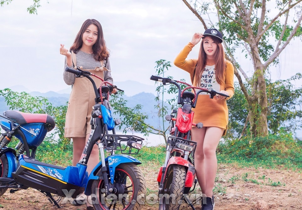 Giam ngay 1 trieu dong khi mua xe tai The Gioi Xe Dien hinh anh