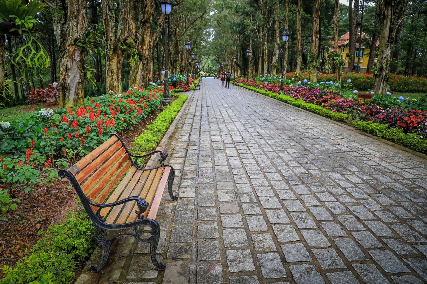 Da Lat Trong Toi anh 3