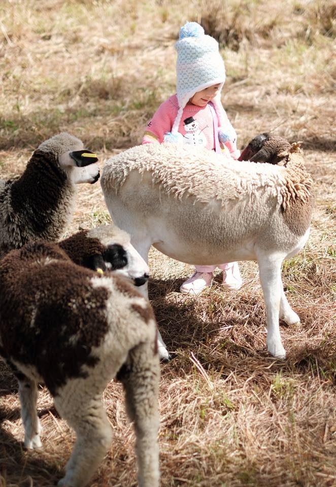 Da Lat Trong Toi anh 4