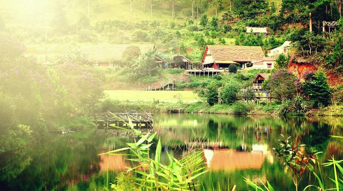 Da Lat Trong Toi anh 8