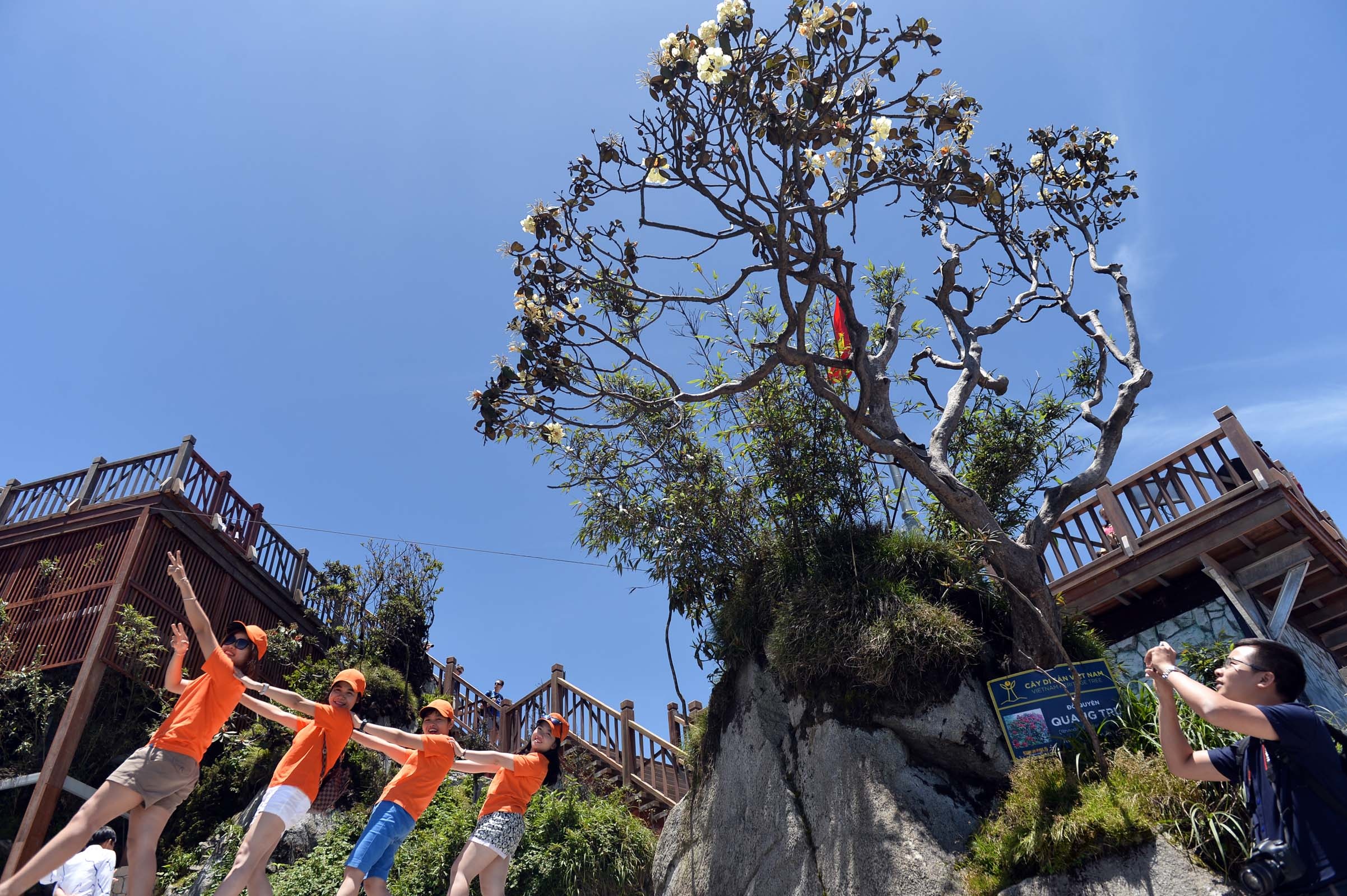 Sun World Fansipan Legend anh 10