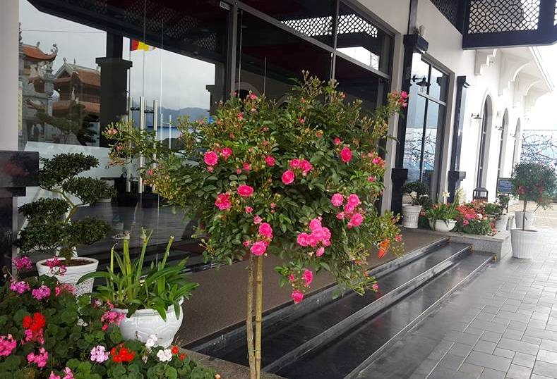 Sun World Fansipan Legend anh 3