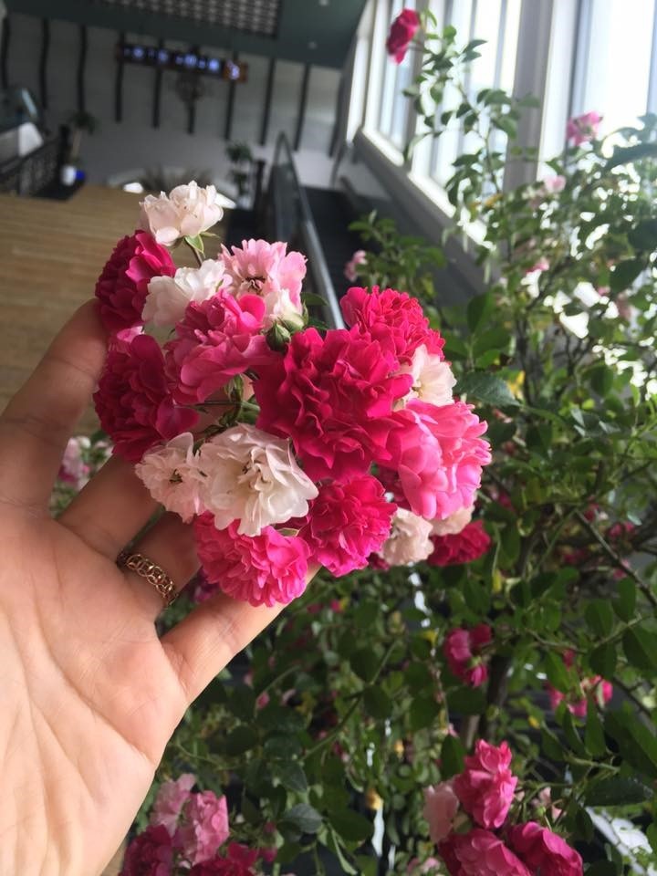 Sun World Fansipan Legend anh 4