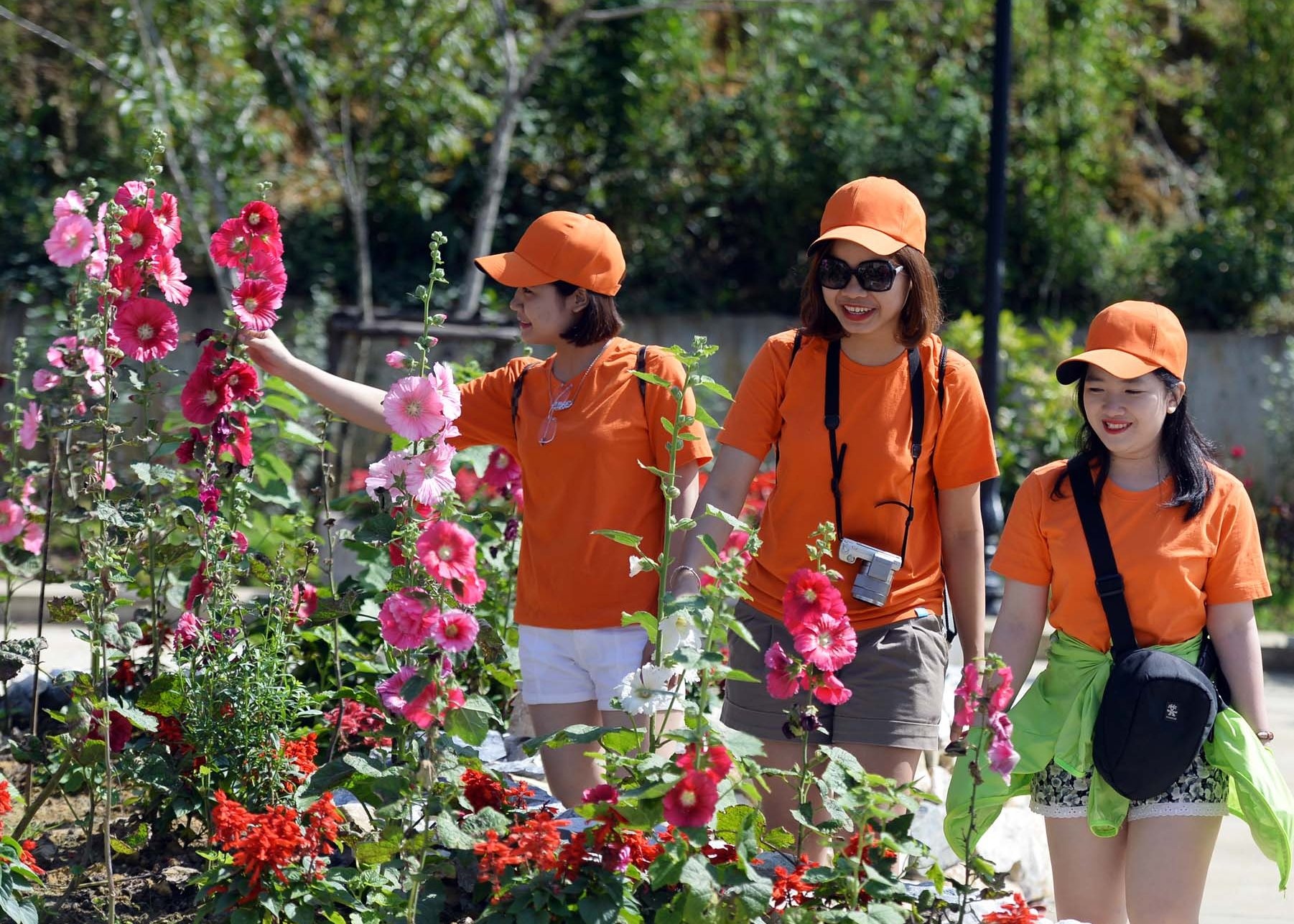 Sun World Fansipan Legend anh 7