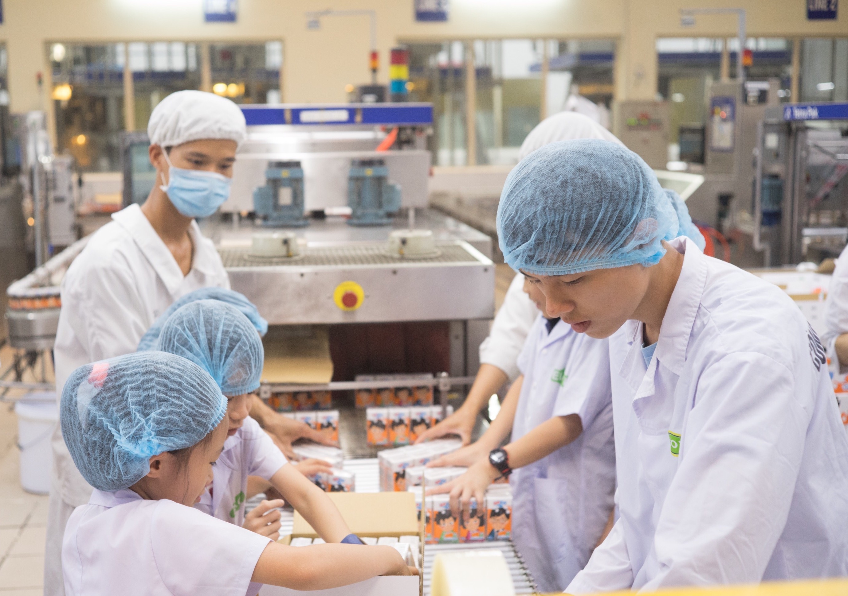 tour tham quan nha may sua cho tre em anh 7