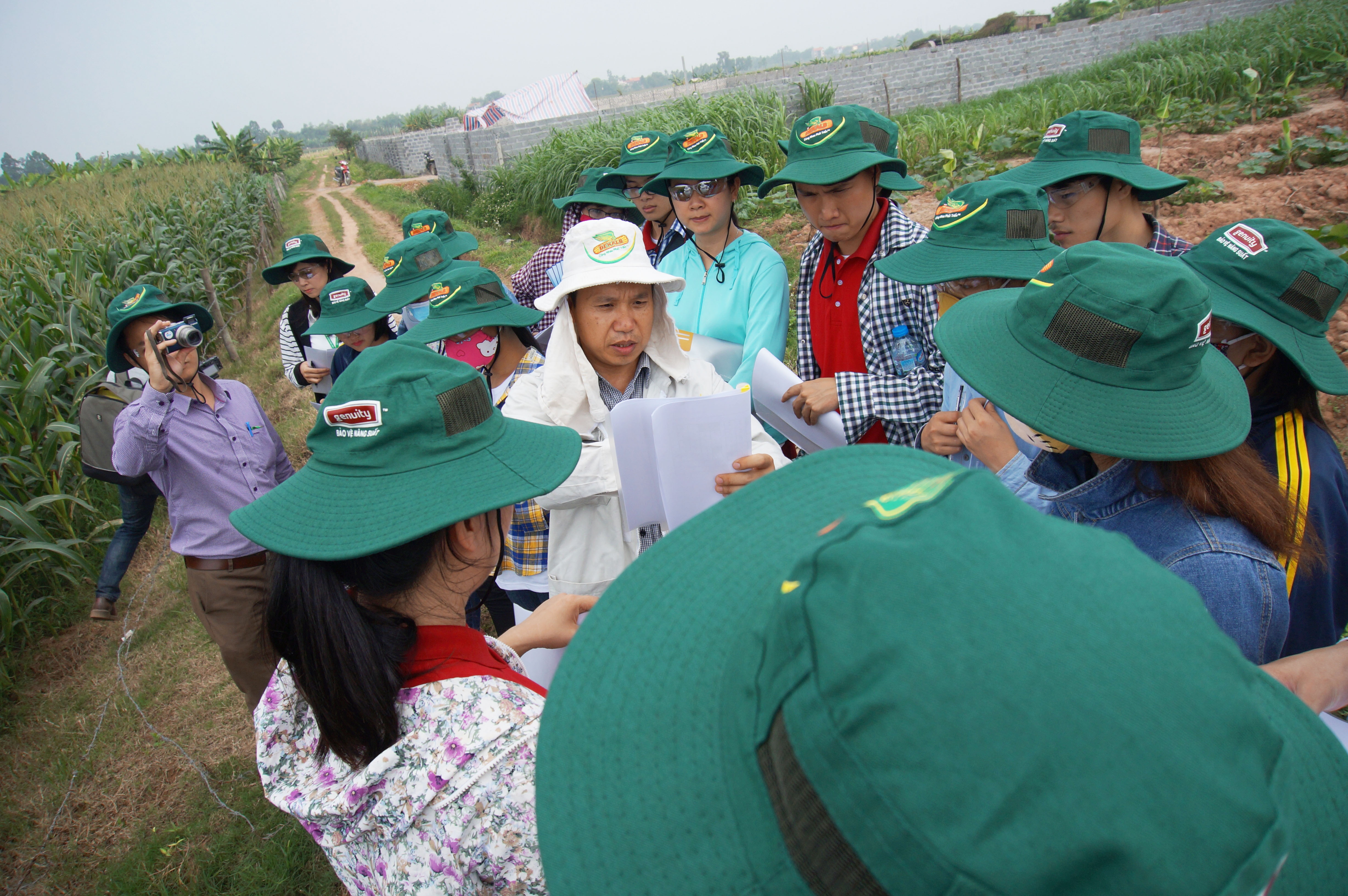 Công ty Dekalb  ảnh 3 Cong ty Dekalb anh 3