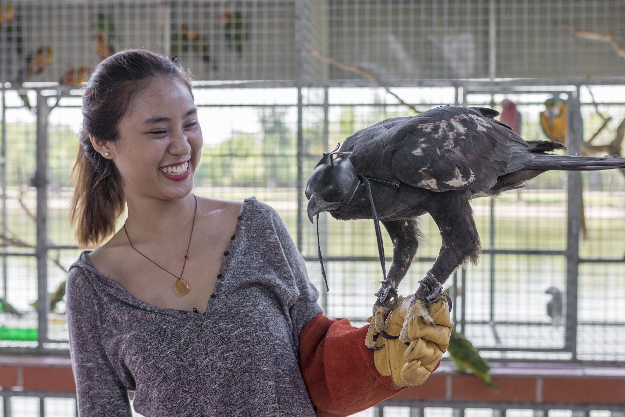 Cuoi da dieu, choi cung dai bang tai khu du lich Vuon Xoai hinh anh
