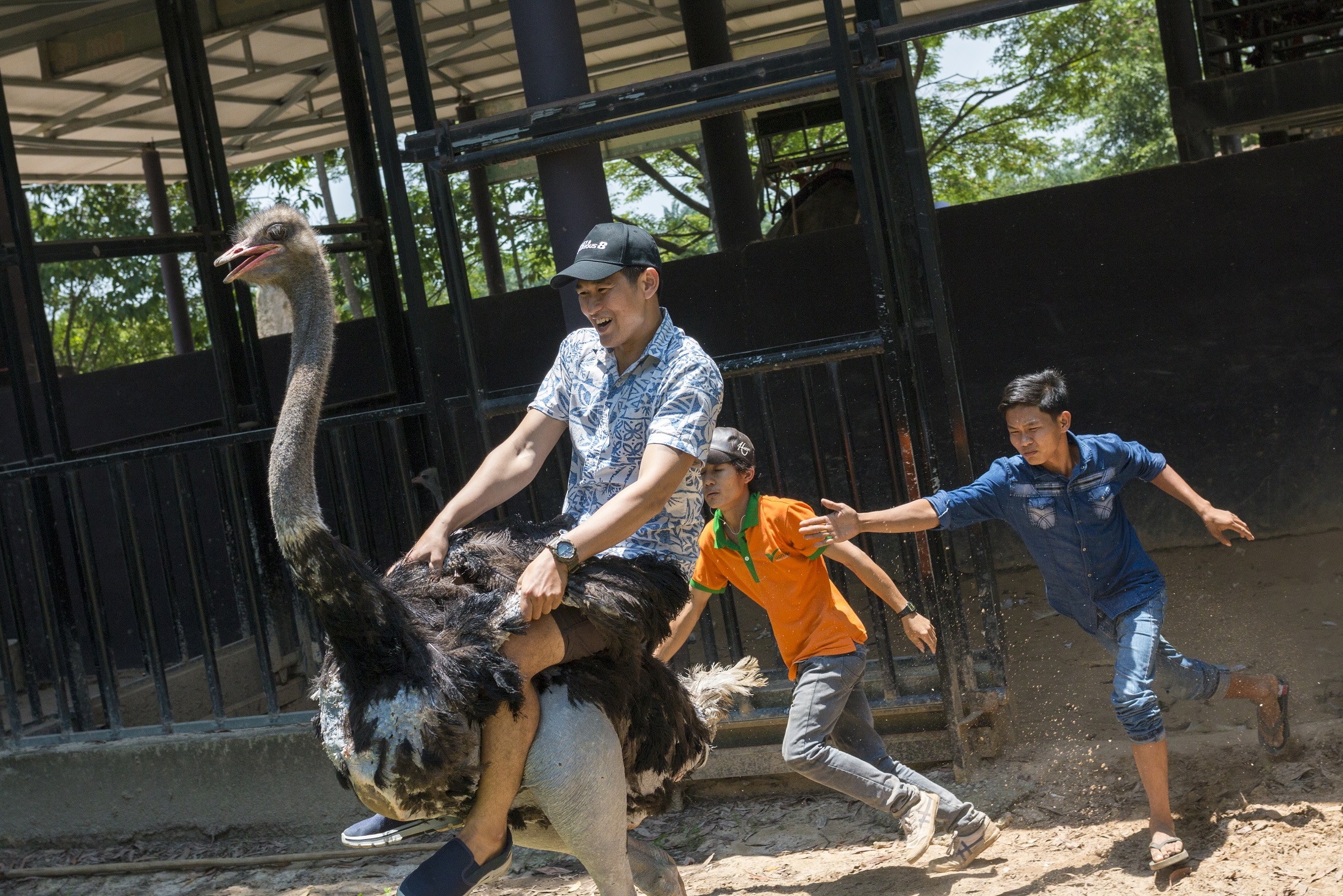 Khu du lich sinh thai Vuon Xoai anh 1