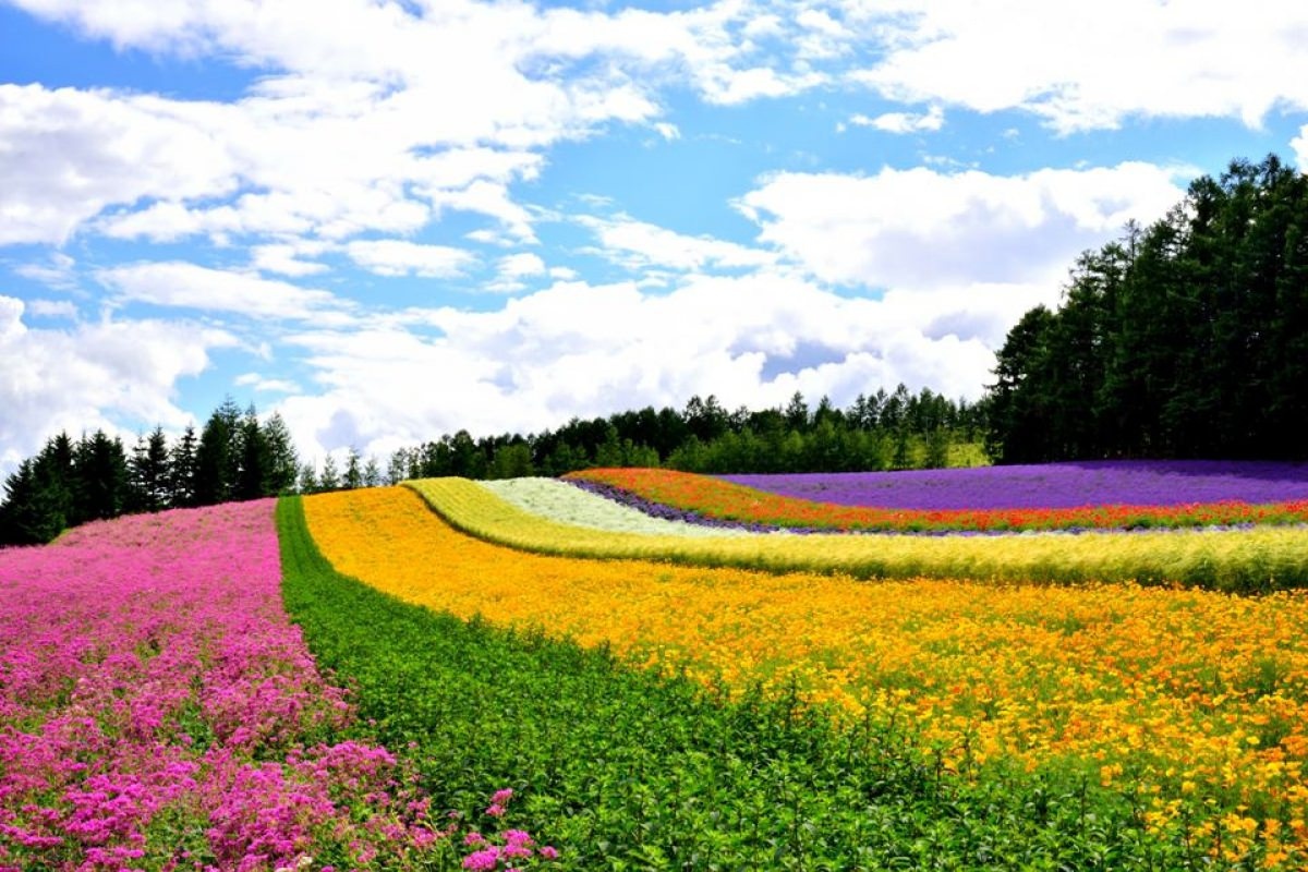 Vietravel Ha Noi anh 5