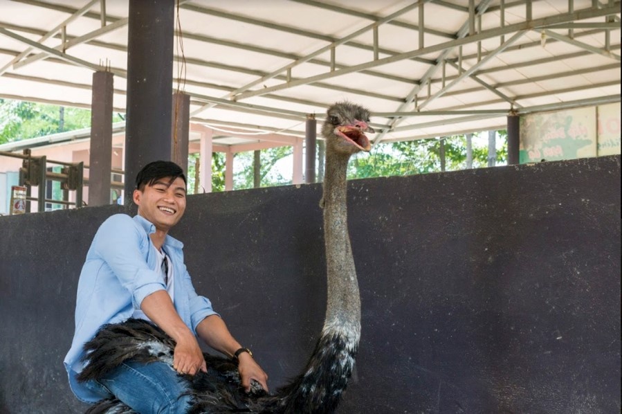 Khu du lich sinh thai Vuon Xoai anh 2