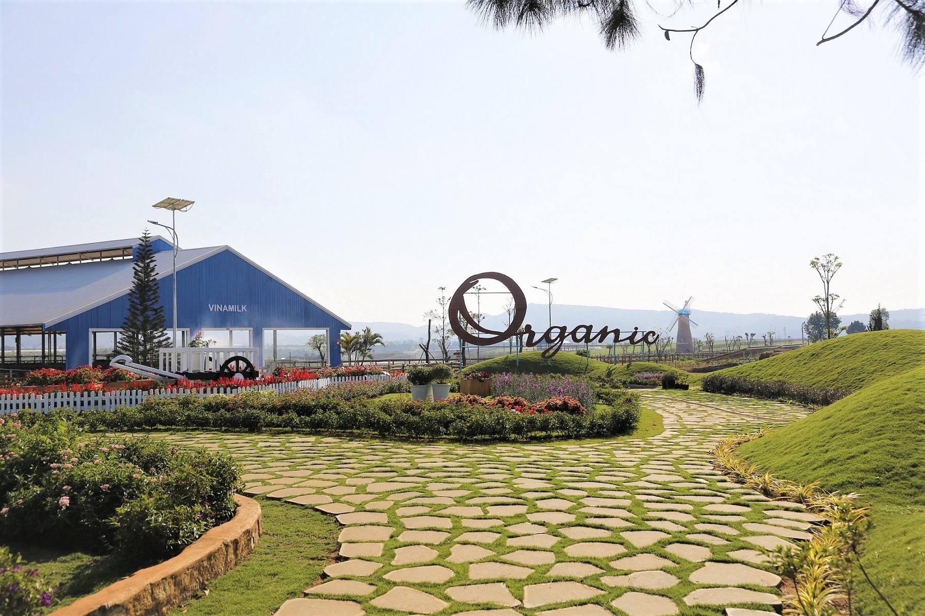 Vinamilk ảnh 2 Vinamilk anh 2