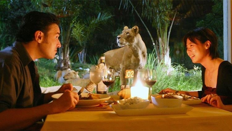 Vietravel Ha Noi anh 4