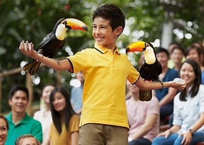 Diem den moi la, hap dan cho tre nho tai dao quoc su tu hinh anh