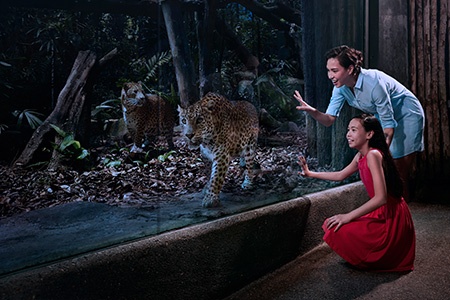 Vietravel Ha Noi anh 3