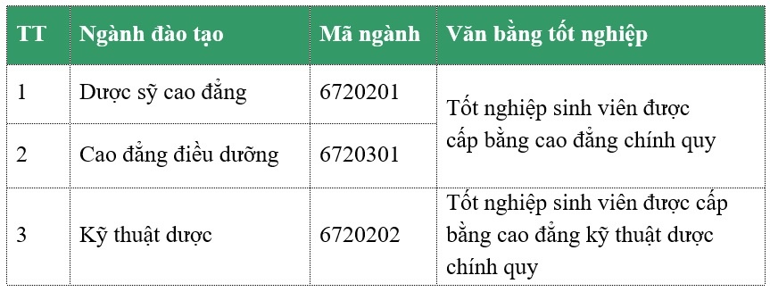 Cao đẳng Y - Dược Asean ảnh 3 Cao dang Y - Duoc Asean anh 3
