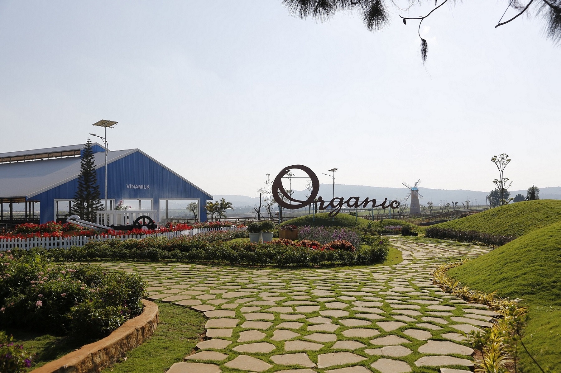 Vinamilk ảnh 3 Vinamilk anh 3