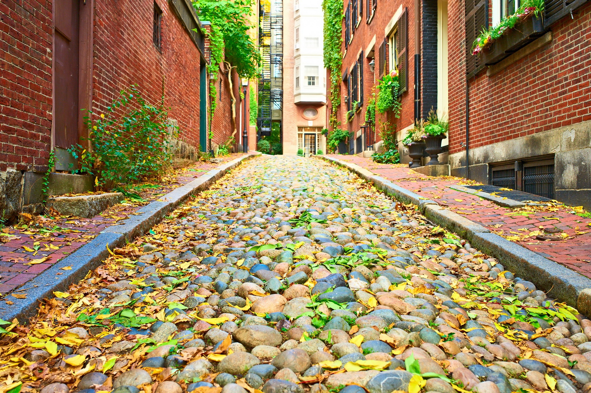 Cong ty Vietravel anh 1