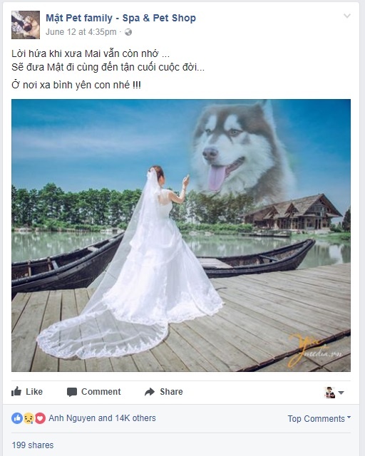 Ảnh viện áo cưới Yêu Media ảnh 2 Anh vien ao cuoi Yeu Media anh 2