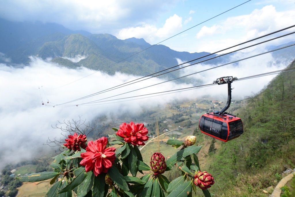 Sun World ảnh 4 Sun World anh 4