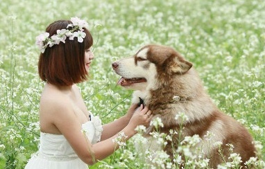 Bo canh cuoi giau cam xuc cua co chu Mat Pet Family hinh anh