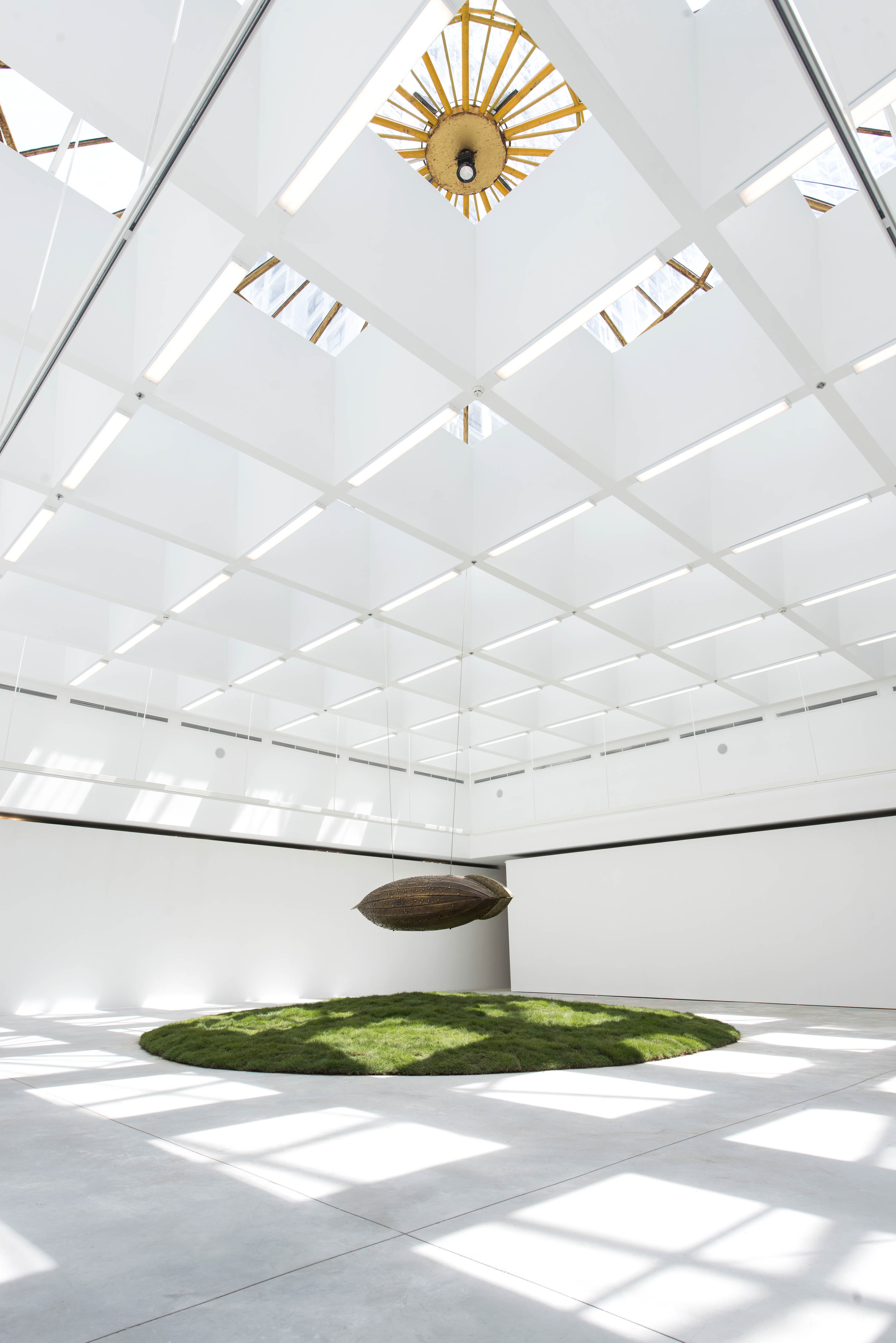 Trung tam VCCA anh 1