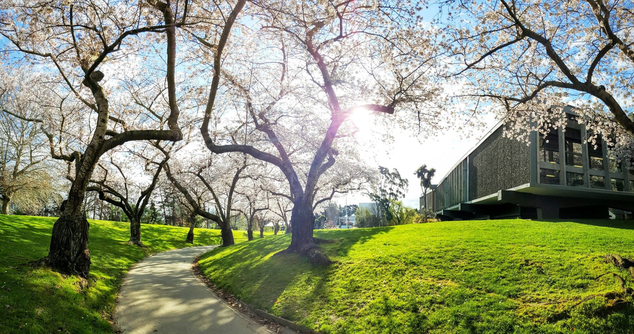 Dai Hoc Canterbury anh 2