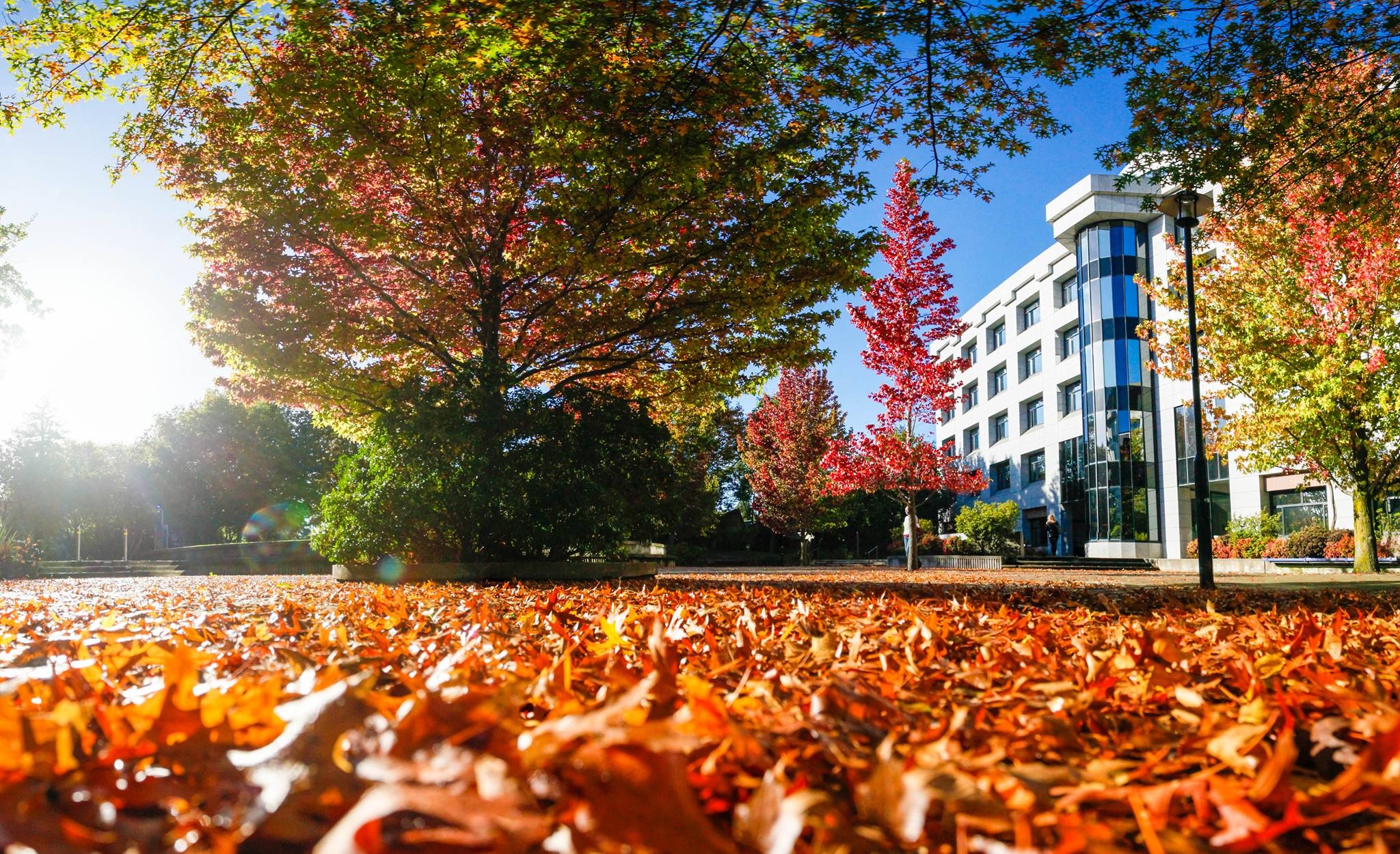 Check-in thanh pho thu nho ben trong Dai hoc Canterbury hinh anh